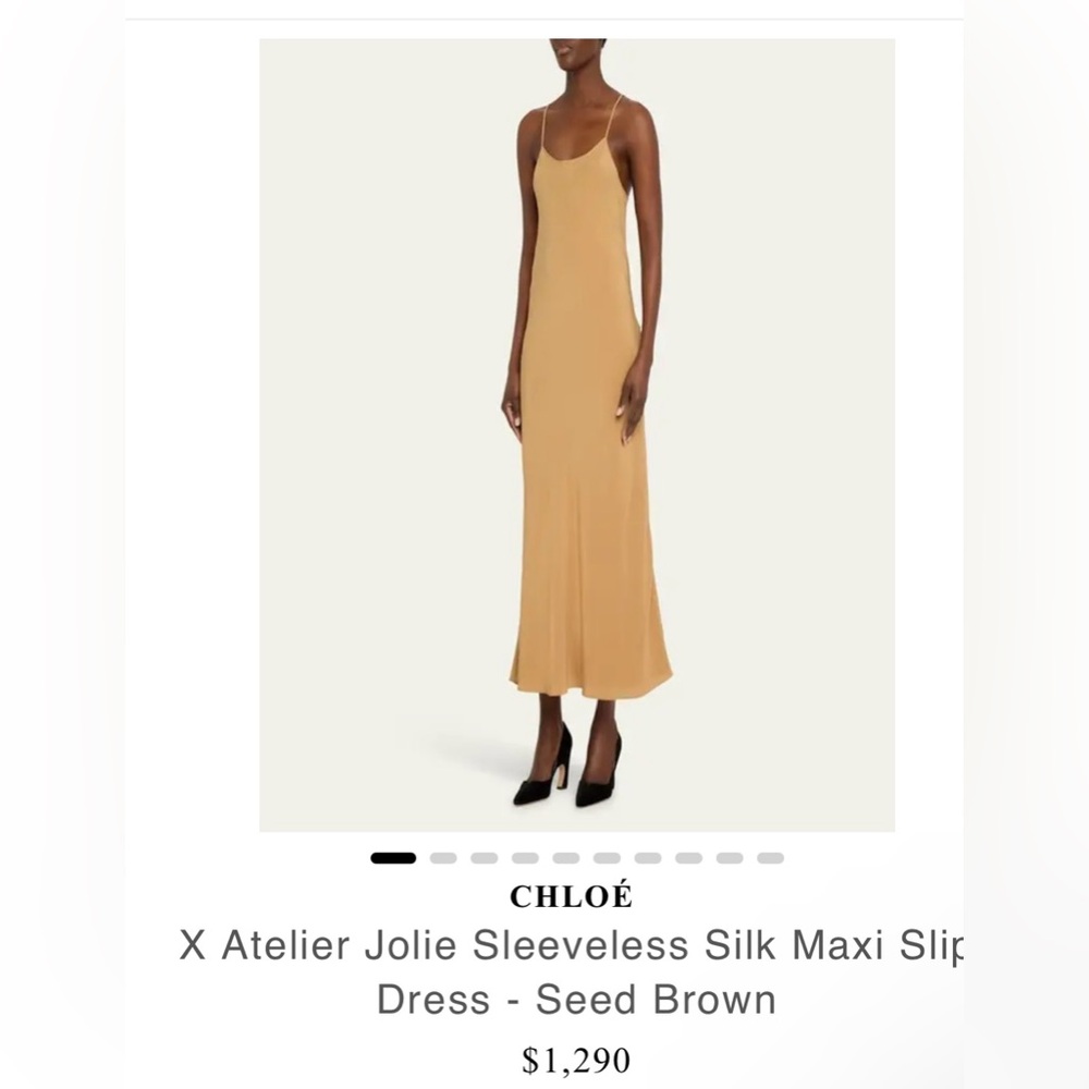 Chloe Flawless Silk Dress